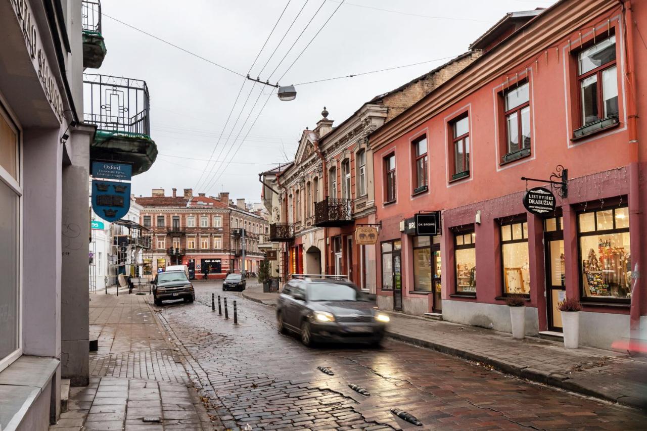 Lovely Apartment Traku Str. Аеропорт Вільнюс Екстер'єр фото