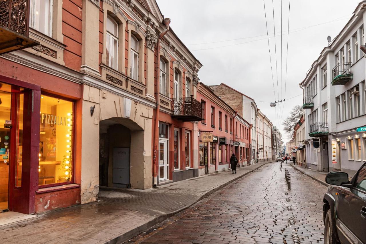 Lovely Apartment Traku Str. Аеропорт Вільнюс Екстер'єр фото